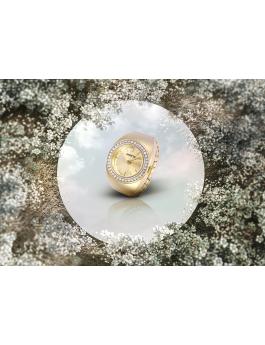 Invicta Mini 48944 Relógio Feminino - Movimento de Quartzo - Aço Inoxidável com Mostrador Dourado - 17 mm